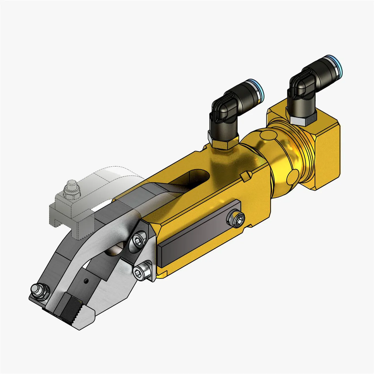 Claw image