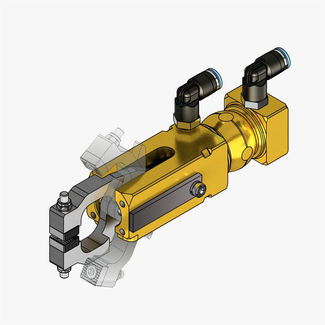 Claw image