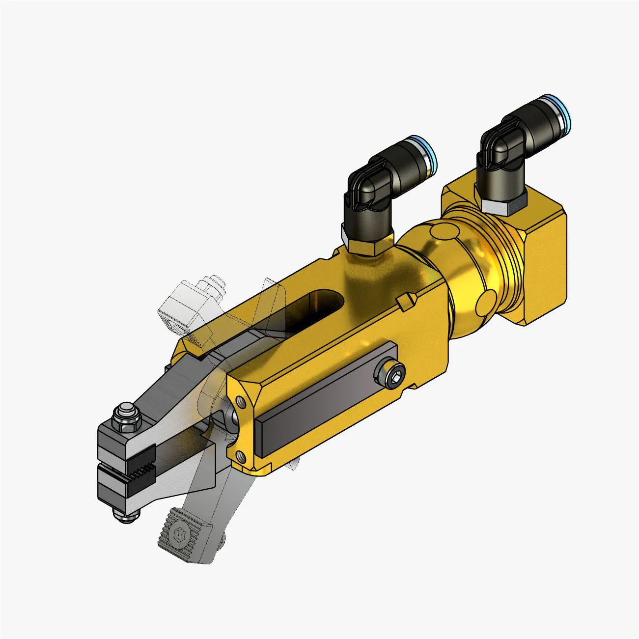 Claw image