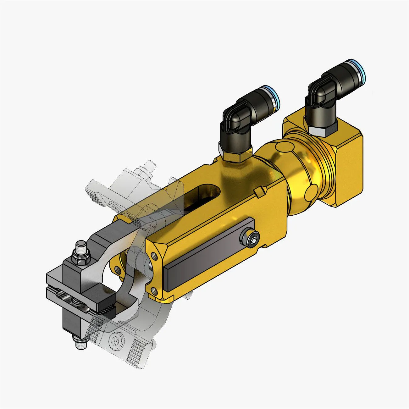 Claw image