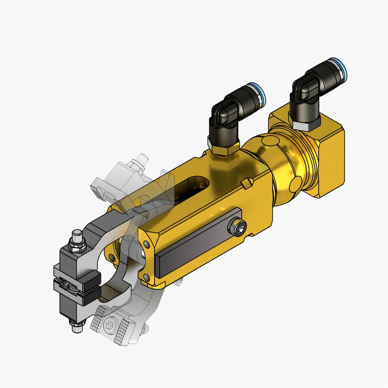 Claw image