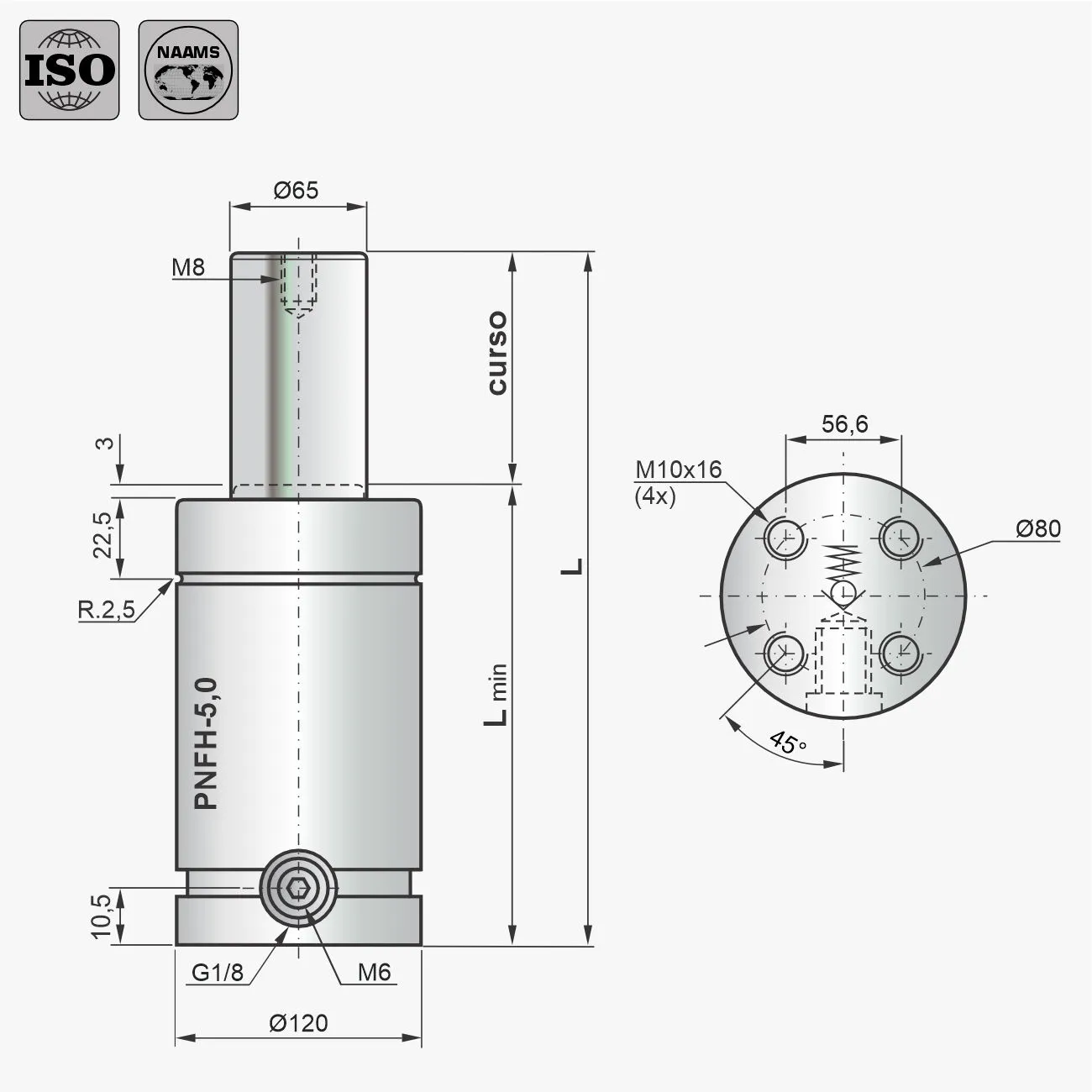 Desenho técnico do cilindro PNFH-5,0
